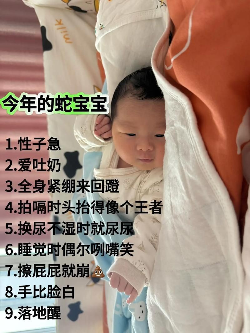 魟魚懷了蛇寶寶圖片