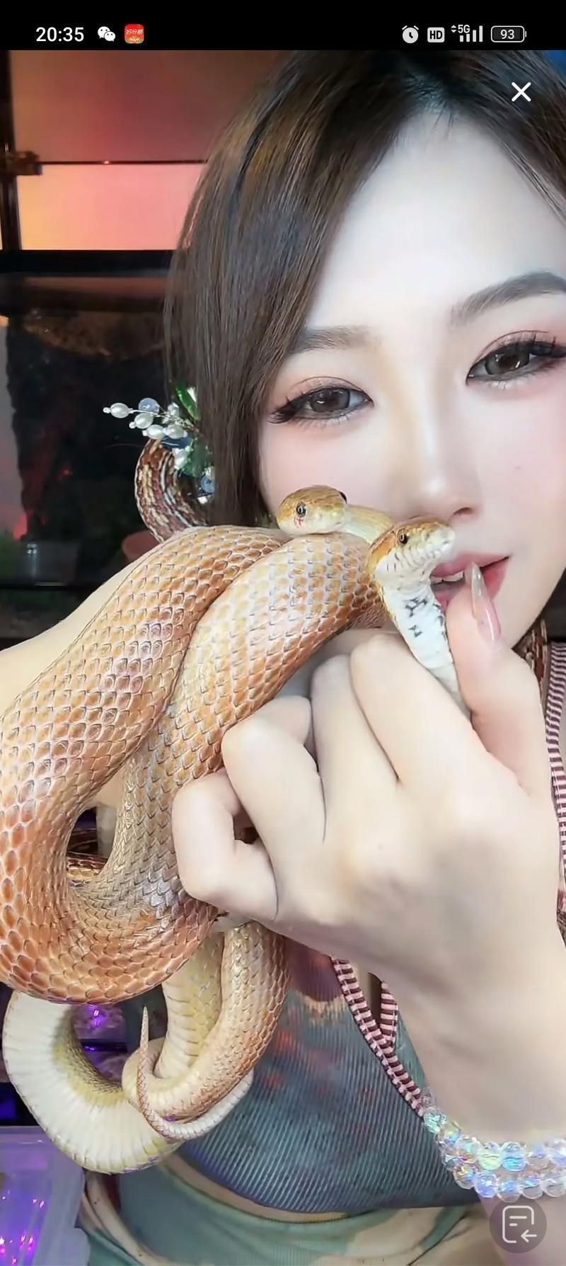 魟魚懷了蛇寶寶圖片