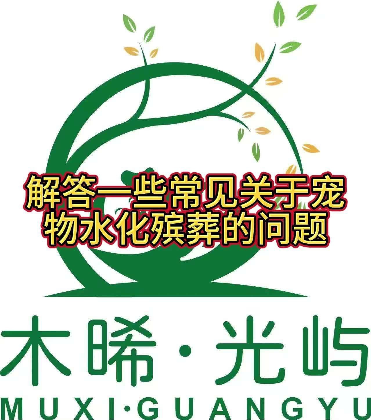 如何在家為龍魚舉行水葬？