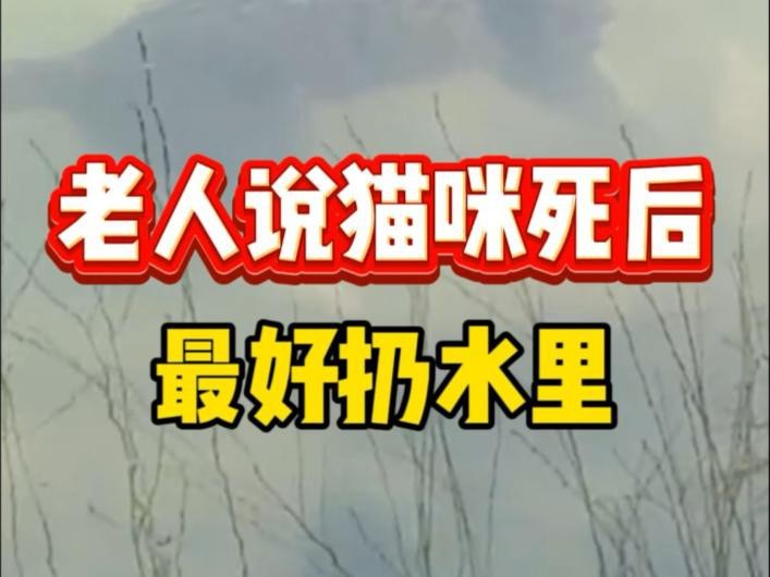 如何在家為龍魚舉行水葬？