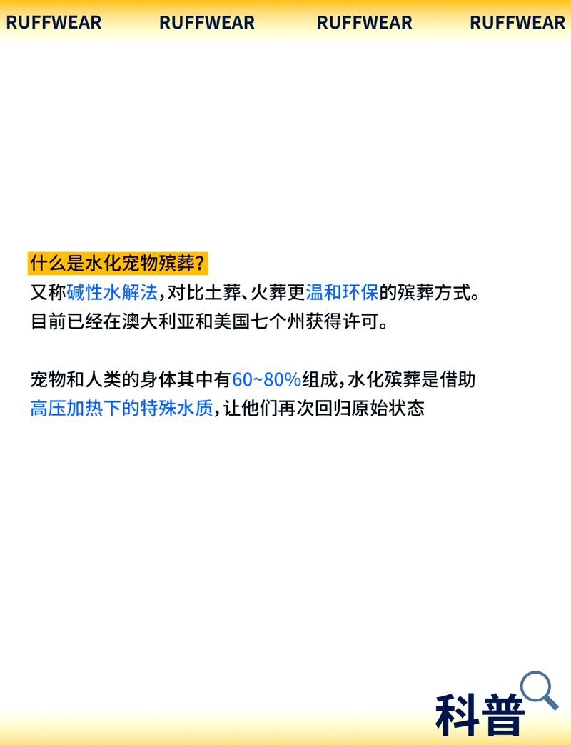 如何在家為龍魚舉行水葬？