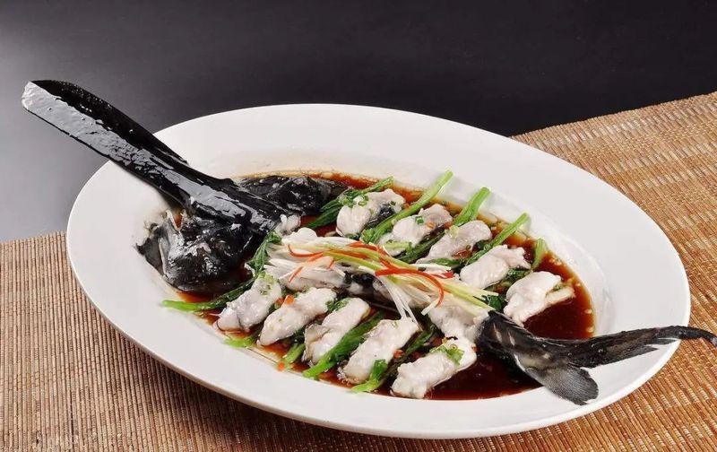 虎紋鴨嘴魚能吃嗎