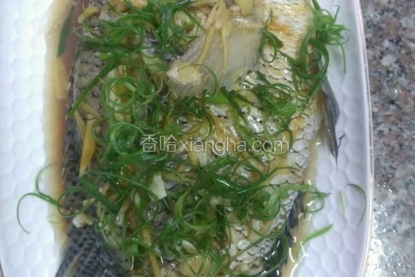 花斑魚最好三個吃法