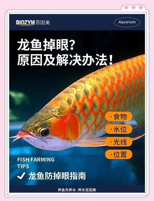 龍魚眼凸出來的圖片