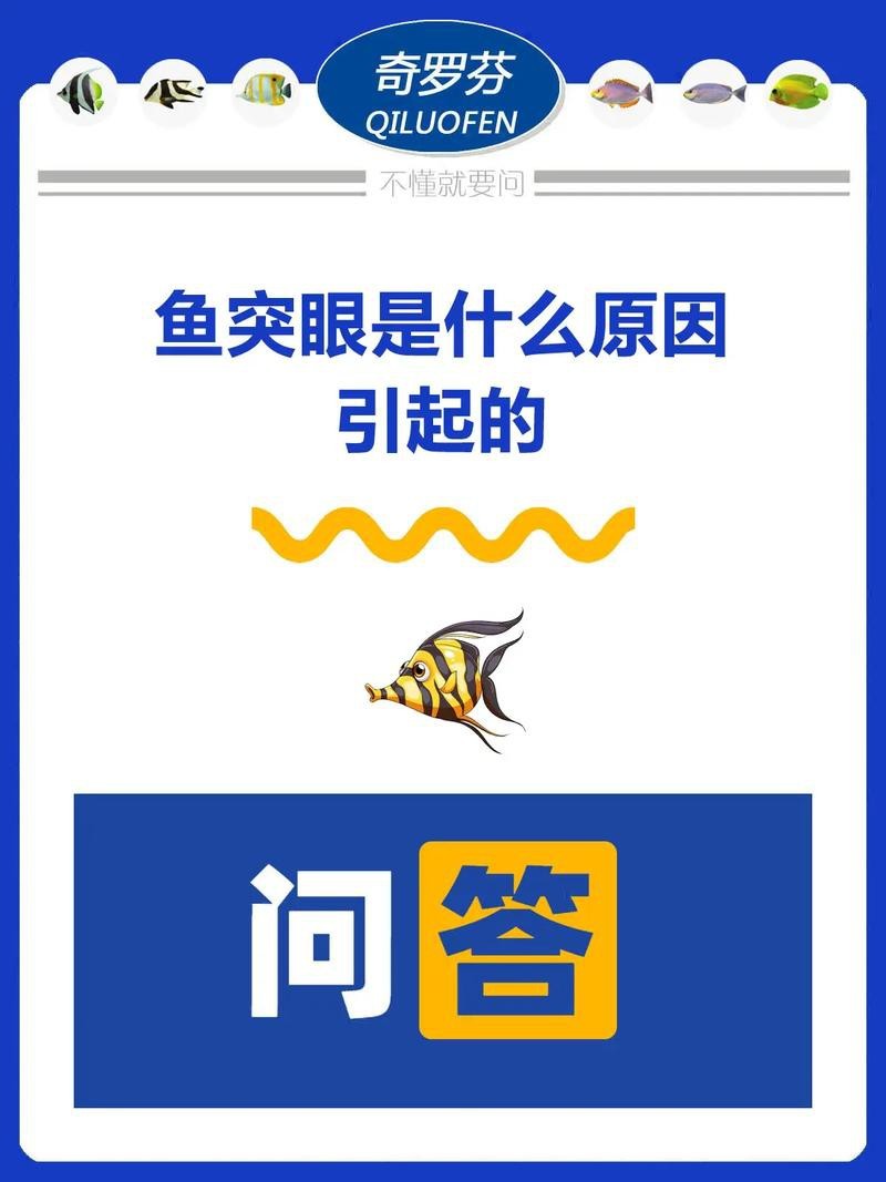 龍魚眼凸出來的圖片
