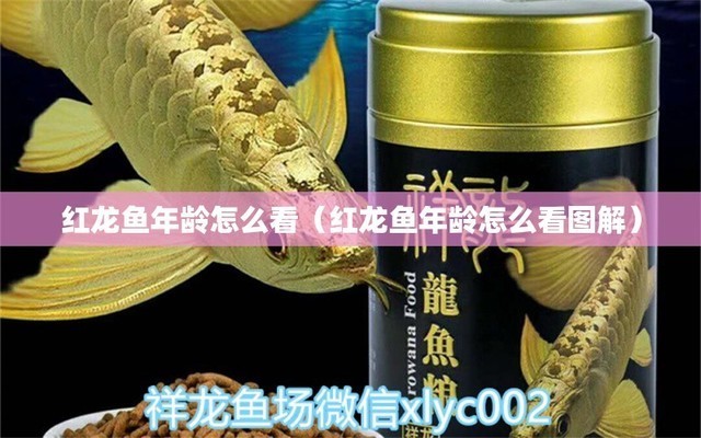 魚缸用增氧泵價格是多少:魚缸增氧機-xtrac增氧機-xtrac增氧機 西寧摩西水族館有限公司(西寧摩西水族館有限公司招聘) 全國水族館企業(yè)名錄 西寧摩西水族館有限公司(西寧摩西水族館有限公司招聘) 西寧摩西水族館有限公司(西寧摩西水族館有限公司招聘) 全國水族館企業(yè)名錄