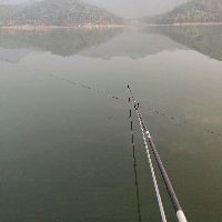鯽魚適合50公分水深嗎