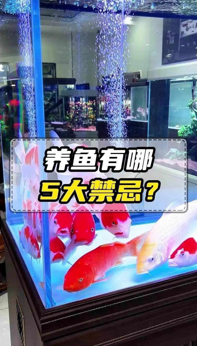 網箱養魚10大忌