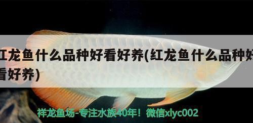 杭州市濱江區暖欣水族商行（杭州市濱江區暖欣水族商行地址）