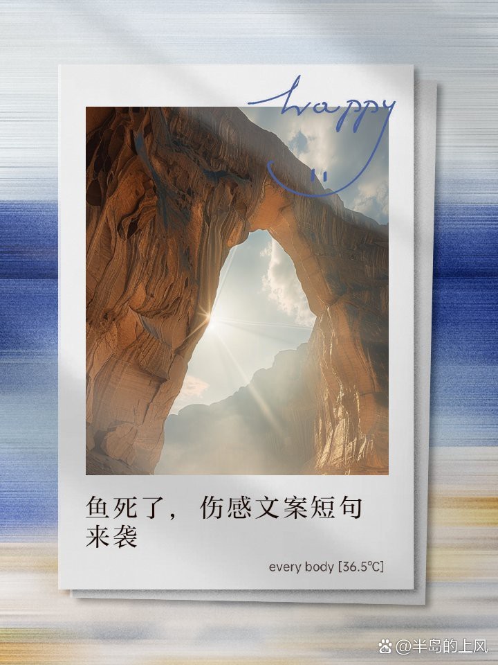魚死了最火的文案短句