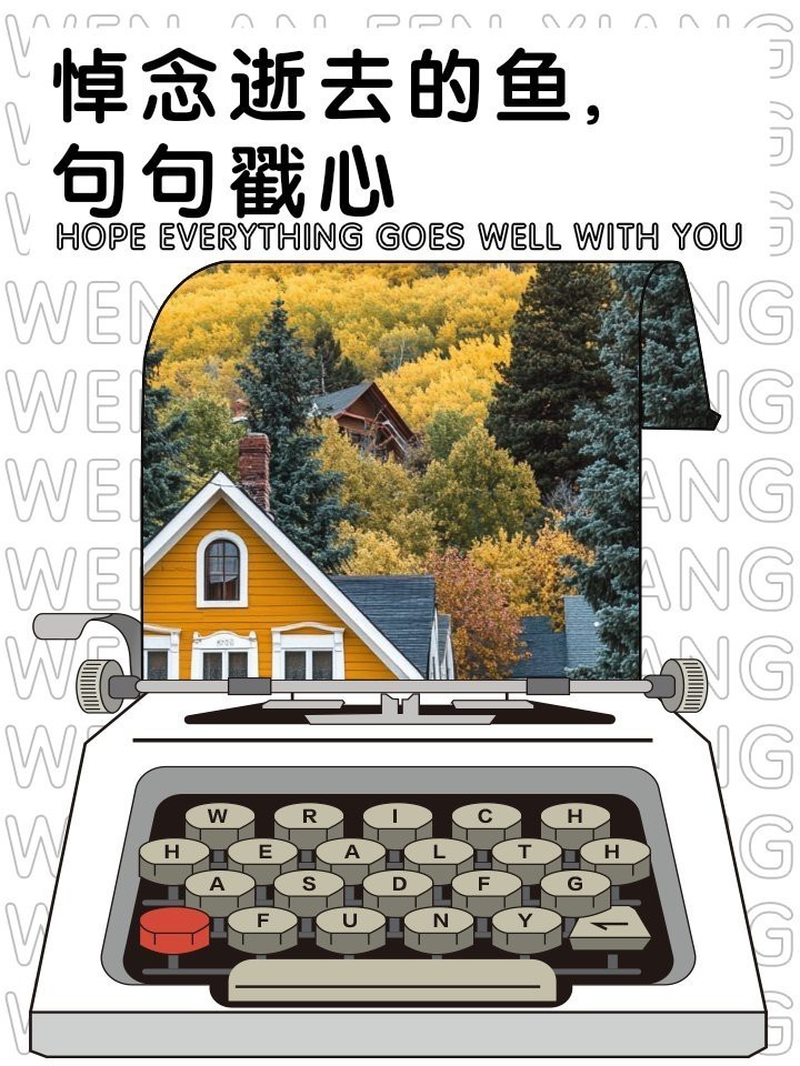 魚死了最火的文案短句
