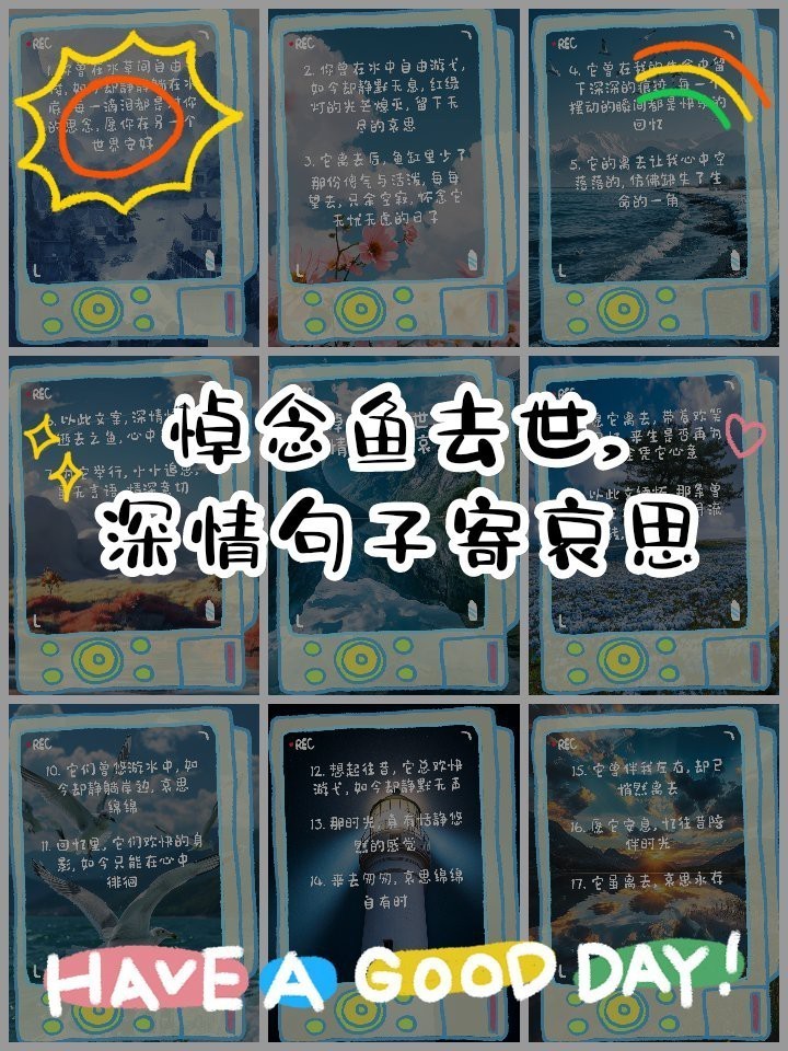 魚死了最火的文案短句