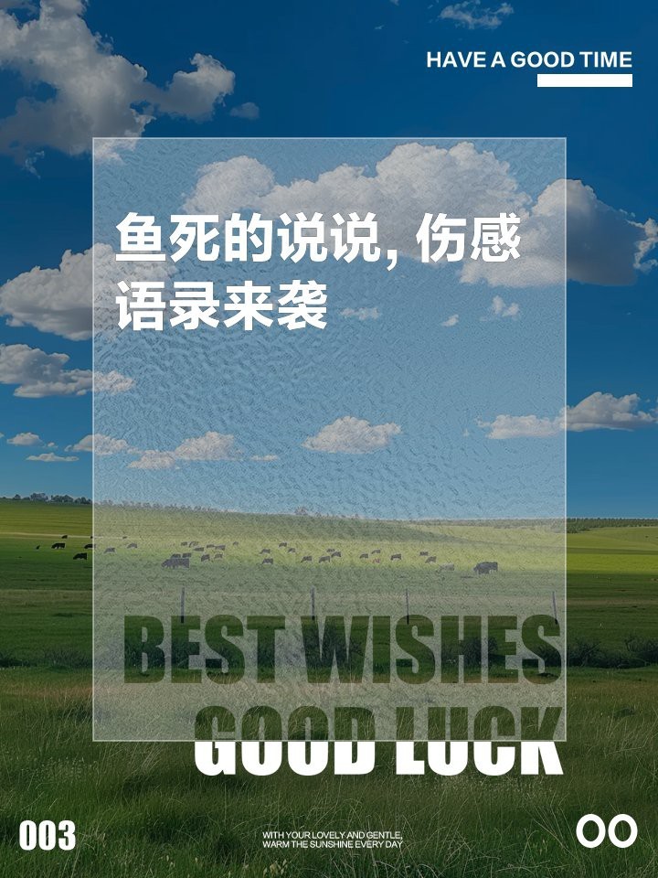 魚死了最火的文案短句
