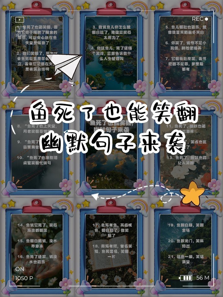 魚死了最火的文案短句