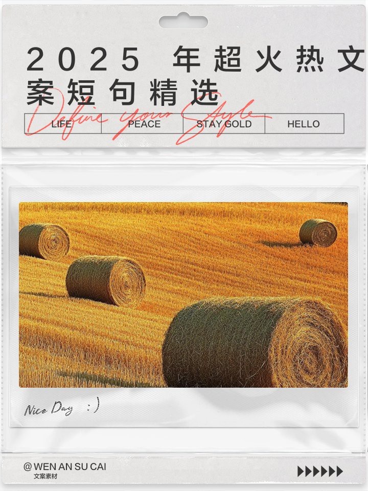 魚死了最火的文案短句