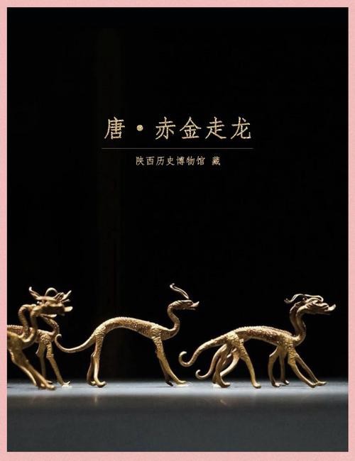 金龍文物圖片高清版