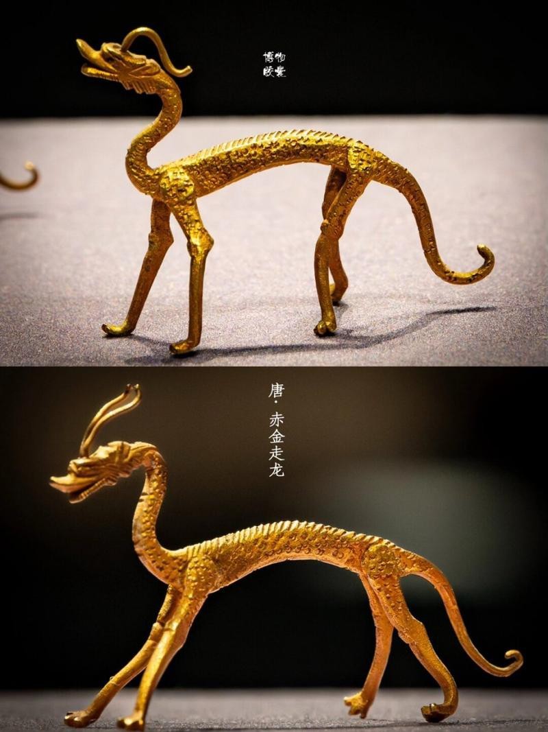 金龍文物圖片高清版