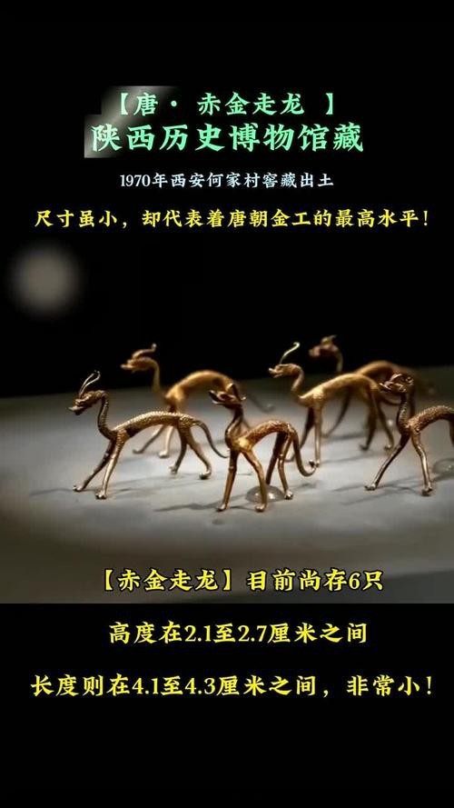 金龍文物圖片高清版