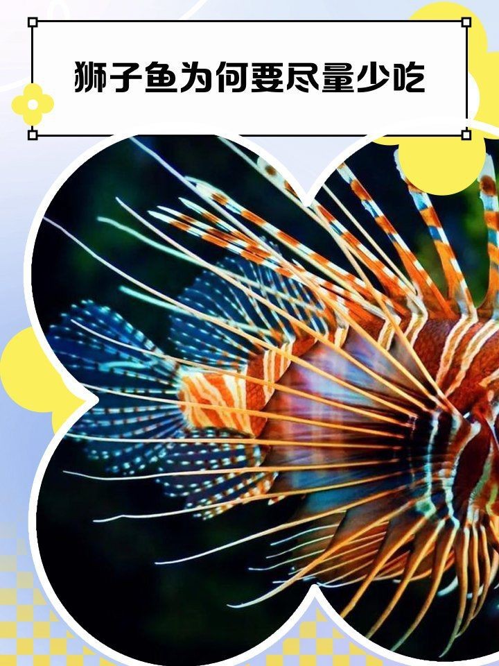 海獅子魚的毒性