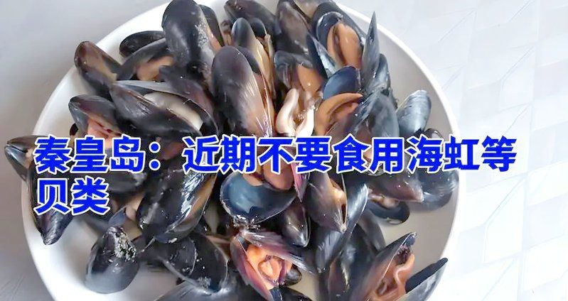 魟魚為什么不能亂吃