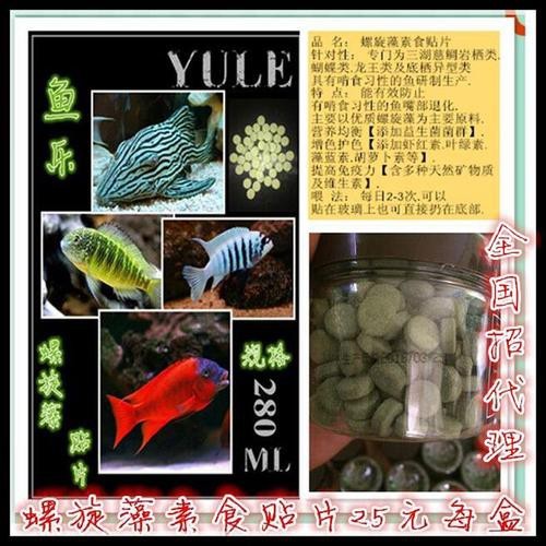 福龍王魚圖片價格