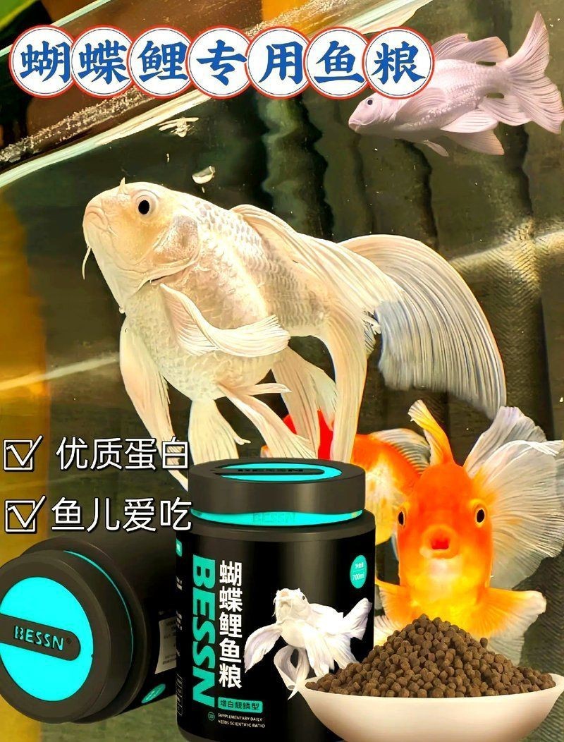 蝴蝶鯉魚糧公認(rèn)最好的 蝴蝶鯉魚糧公認(rèn)最好的 龍魚論壇 第1張