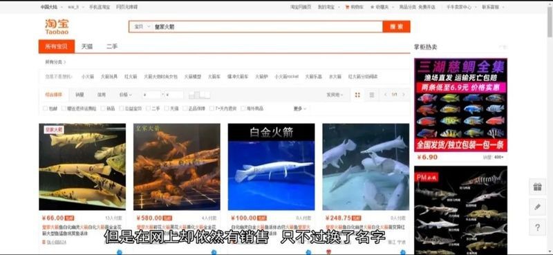 鱷雀鱔咬人有毒嗎