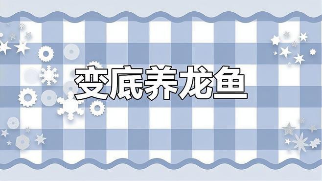 養金龍魚用什么背景顏色好