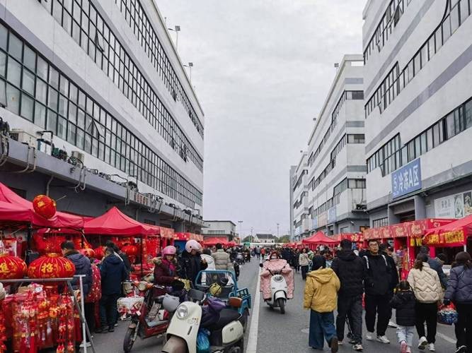 蘇州龍魚批發市場在哪里有買