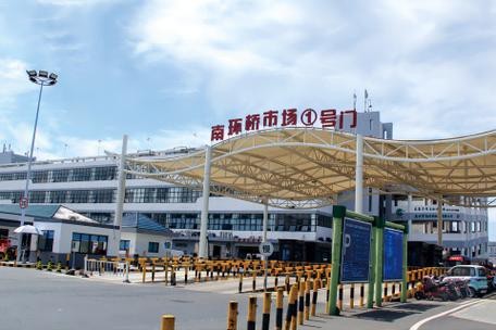 蘇州龍魚批發市場在哪里有買