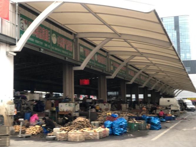 蘇州龍魚批發(fā)市場(chǎng)在哪里有買 蘇州龍魚批發(fā)市場(chǎng)在哪里有買 龍魚百科 第5張