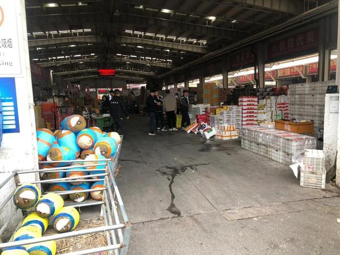 蘇州龍魚批發(fā)市場(chǎng)在哪里有買 蘇州龍魚批發(fā)市場(chǎng)在哪里有買 龍魚百科 第6張