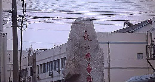 蘇州龍魚批發(fā)市場(chǎng)在哪里有買 蘇州龍魚批發(fā)市場(chǎng)在哪里有買 龍魚百科 第8張
