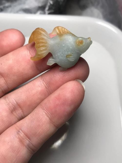 用翡翠做的魚有哪些圖片 龍魚論壇 第7張 用翡翠做的魚有哪些圖片 用翡翠做的魚有哪些圖片 龍魚論壇 第7張