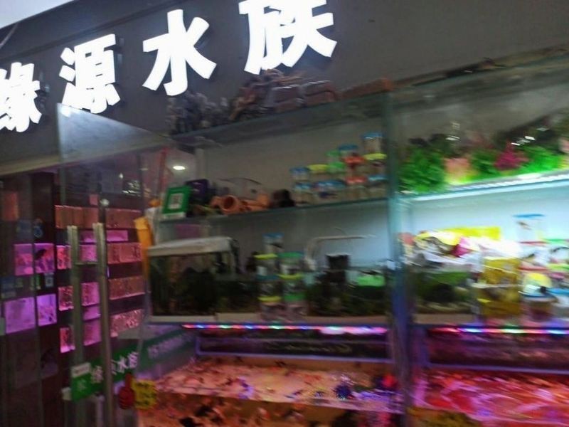 蘇州哪里有賣龍魚的地方啊電話號(hào)碼
