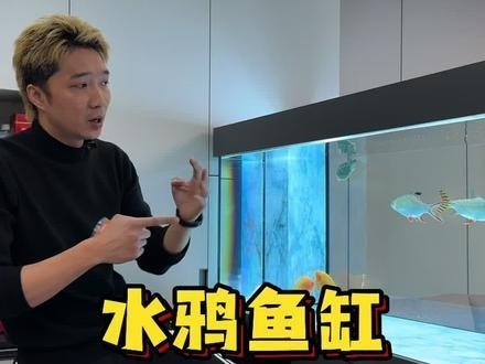 龍魚缸安裝