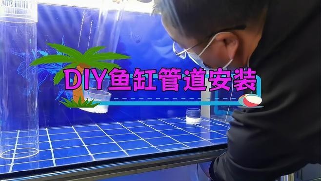 龍魚缸安裝
