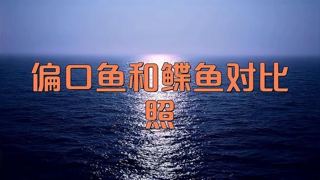 鰈魚俗稱什么魚