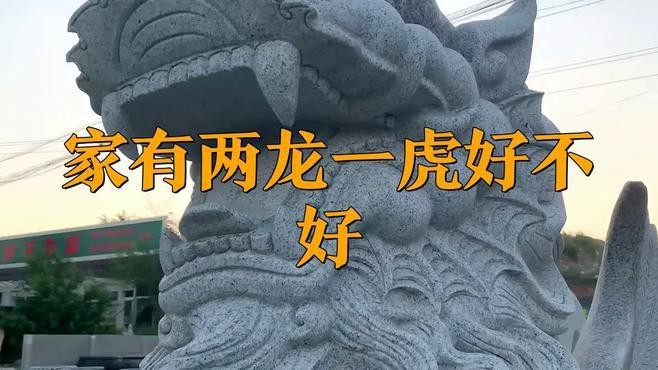 紅老虎魚混養(yǎng)龍魚怎么養(yǎng)