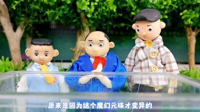 六角龍魚可以混養嗎？
