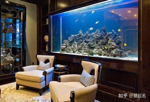 風水魚的講究和忌諱
