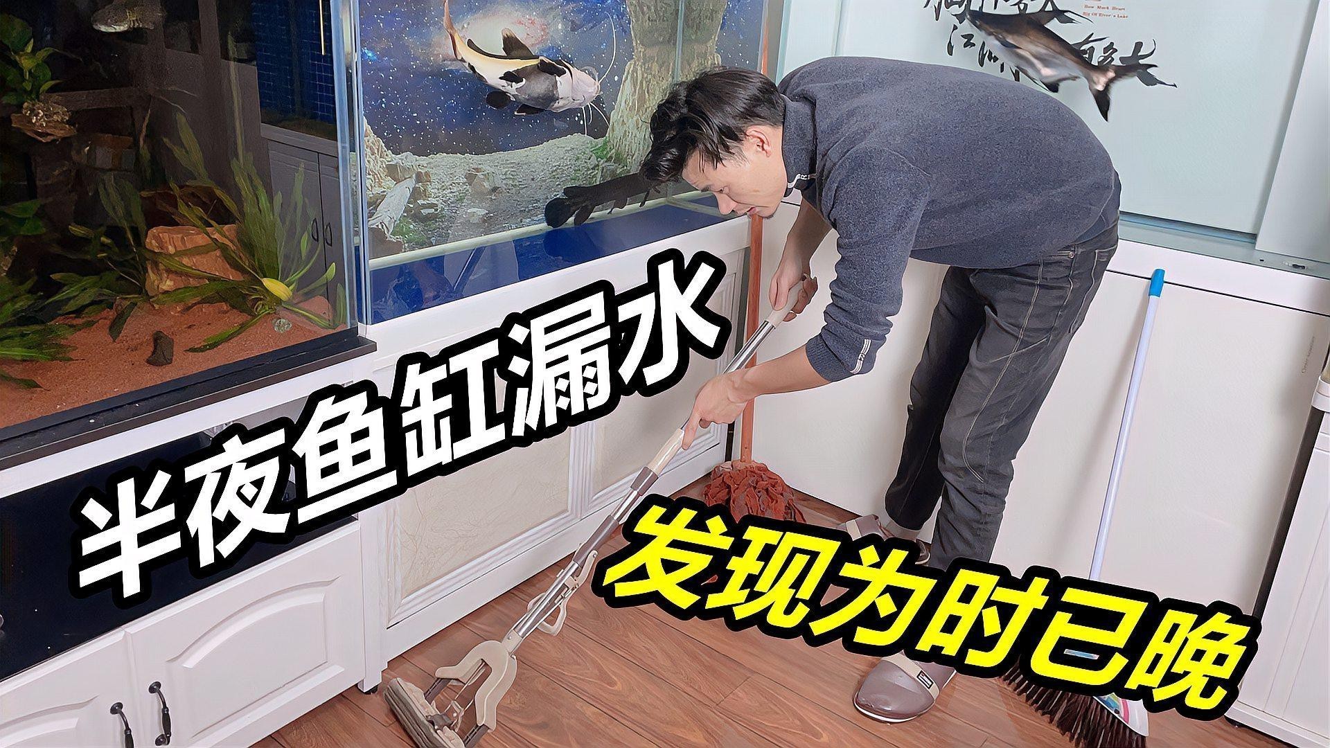 雙水位設計的魚缸有哪些推薦品牌？
