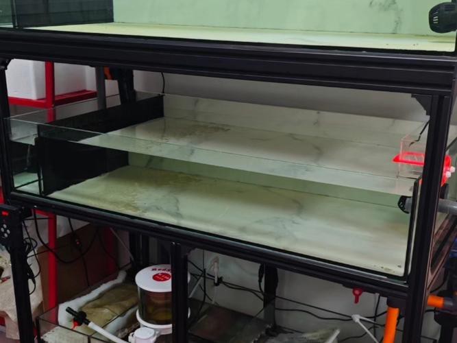 雙水位設(shè)計(jì)的魚缸有哪些推薦品牌？