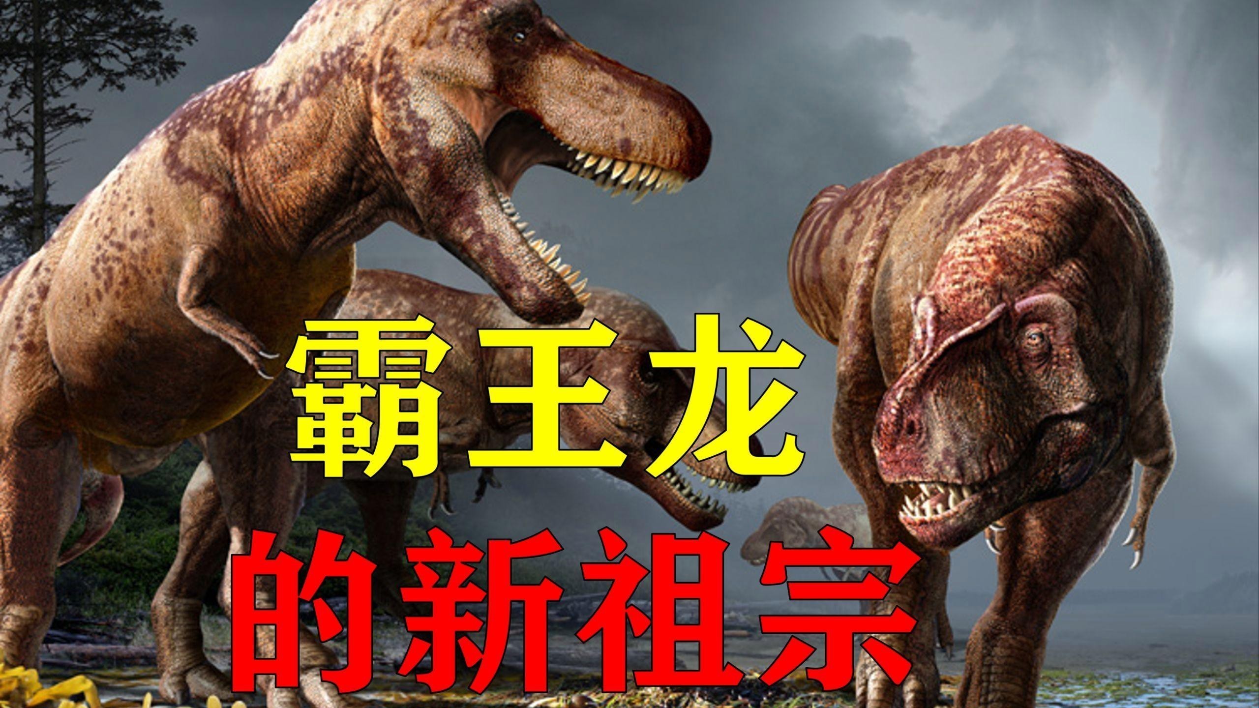 帝龍和暴龍有何區別？