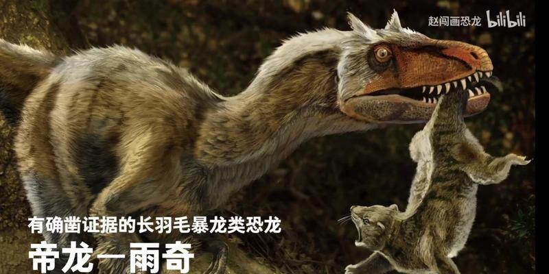 帝龍和暴龍有何區別？