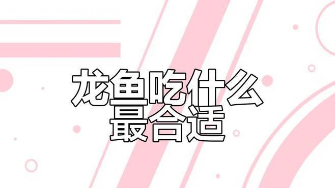 如何提高龍魚的免疫力
