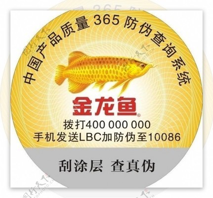 銀龍魚和什么魚混養好養幾條呢（銀龍魚和什么魚混養好養幾條呢圖片）