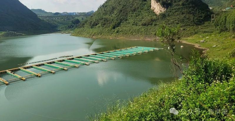淡水魚養(yǎng)殖排名前十