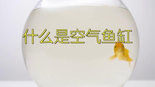 龍魚缸怎么做到空氣缸的