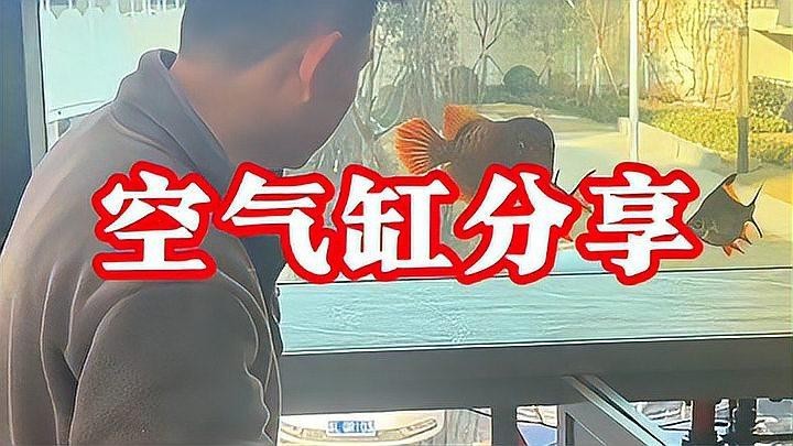 龍魚缸怎么做到空氣缸的